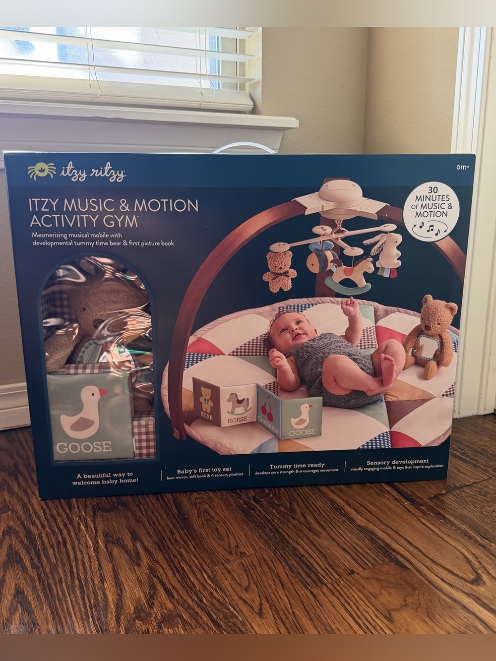 NEW Itzy Ritzy Music & Motion Baby Activity Play Gym